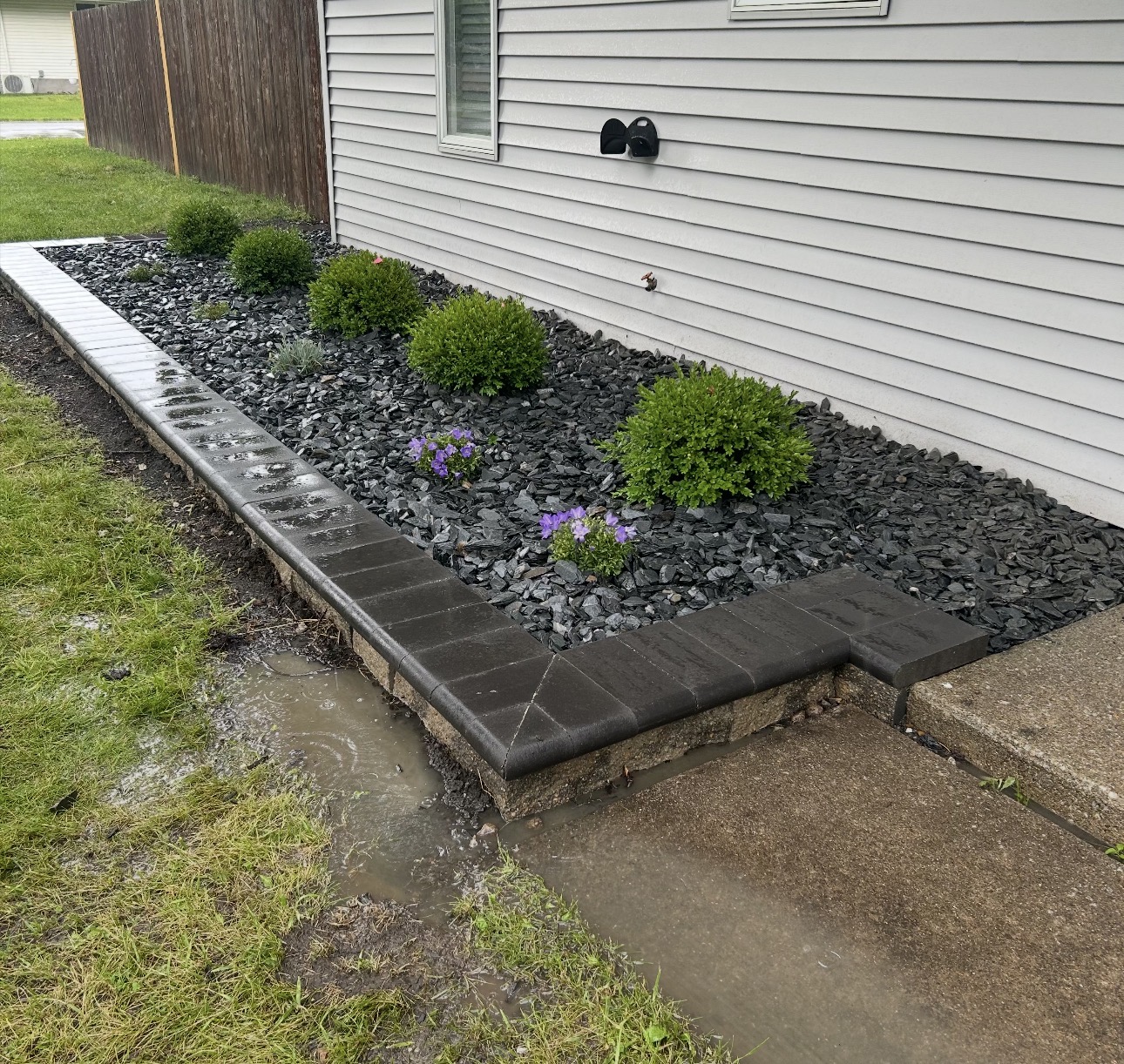 Slate rock landscape bed with stone border and boxwood plantings